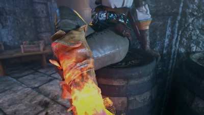 The Witcher