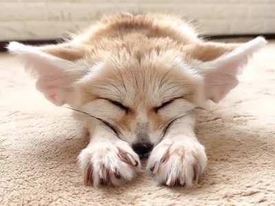 Fen