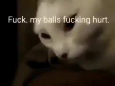 The pain is great