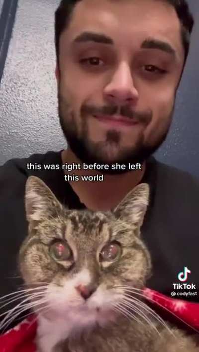 &ldquo;They&rsquo;re never just pets&ldquo;