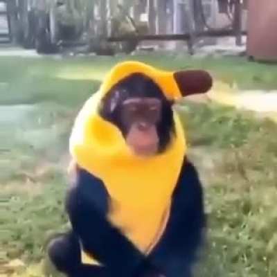 Por qu&eacute; me grita?