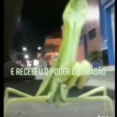 :v