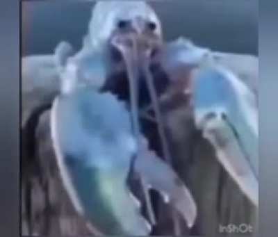 I'm 15 and this is yeet