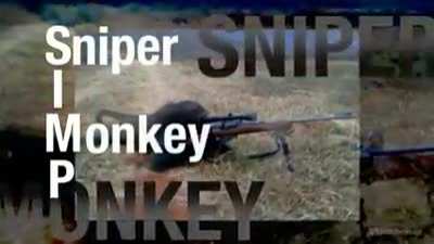 monke