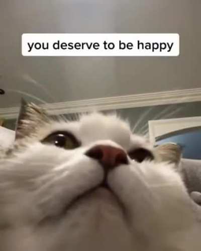 Emotional supurrrrt