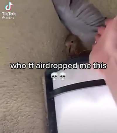 Who tf airdropped me this PT 1