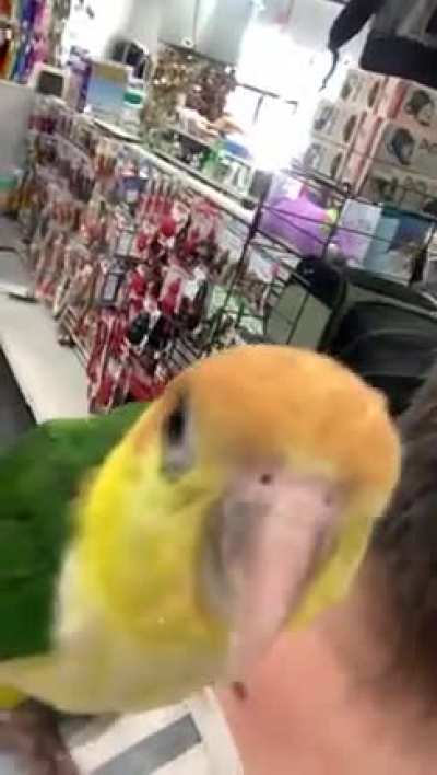 YOu tHOuGht yOU cAme hERe tO seE pEOPlE fUcKInG DiE!? FOol, yOu'rE ThE oNE fUCkIng dYInG nOW!11!!11!1!