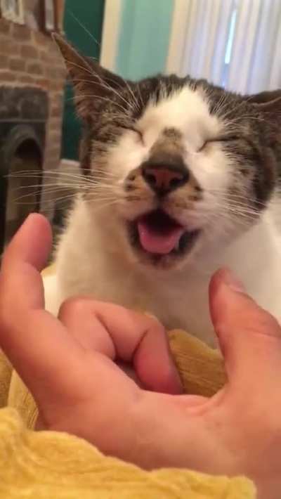 Unable to abort blep