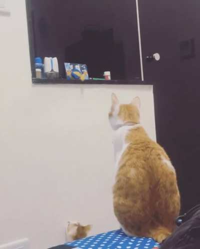 Mom! Mooom ...Can you get my toy for me?