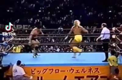 Woah didn&acirc;t know this version of the hulkster existed