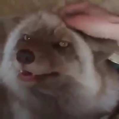 AHHHHHH