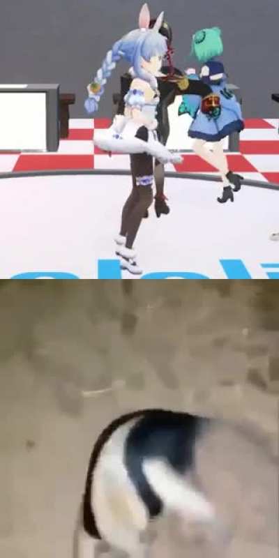 The Peko-Stance