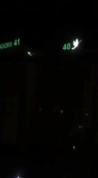 Ukraine: sounds of brutal explosions in Odessa
