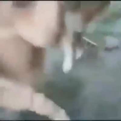 XD