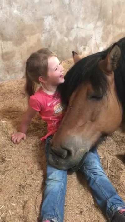 Pony finds a perfect spot for a nap.