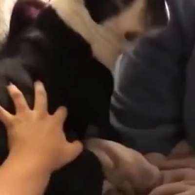 I Smack The Butt, The Butt Scream Back.