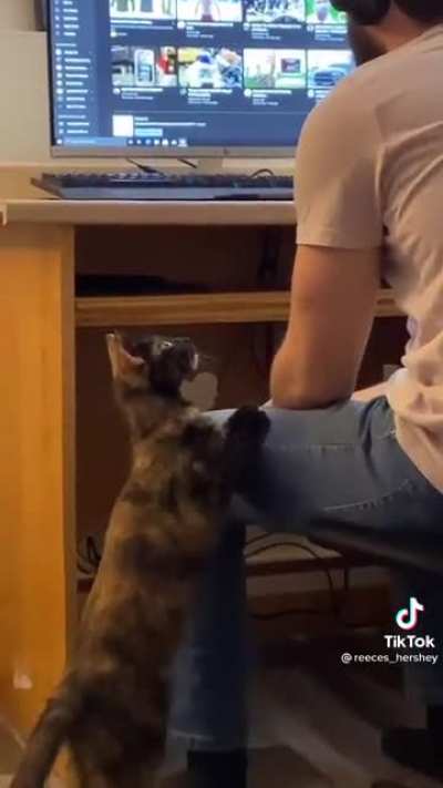 When dad won't pay attention to you