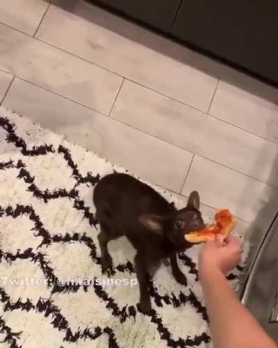Pizza....