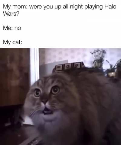 &ldquo;All Units&rdquo;