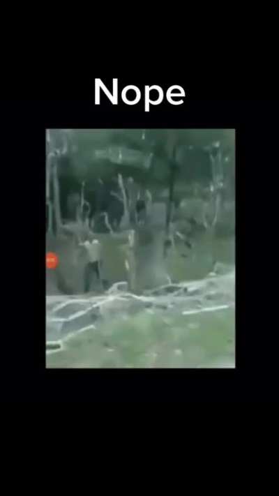 Scary