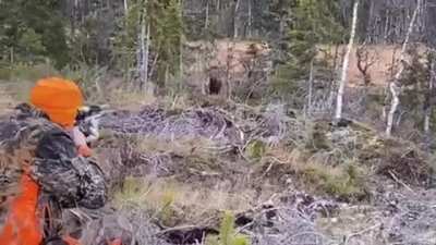 Hunter becomes the hunted