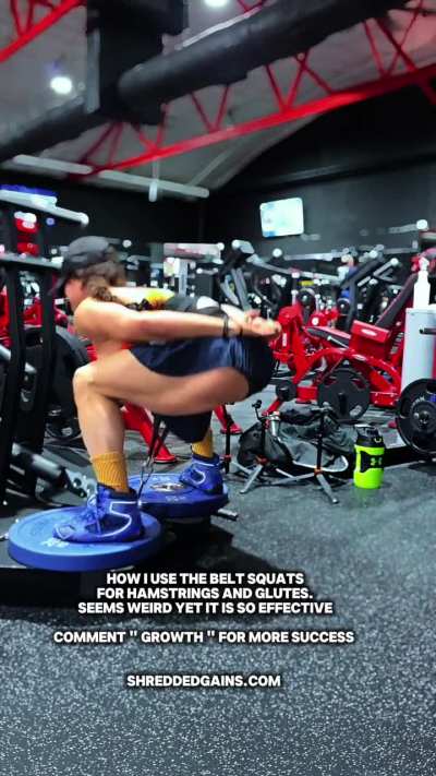 How I use the Belt squats for Hamstrings and Glutes. seems weird yet it is so effective comment " Growth " for more Success . coaching 1 -1 with WA mesaages/ custom videos / VIP members / custom videos and more at shreddedgains.com