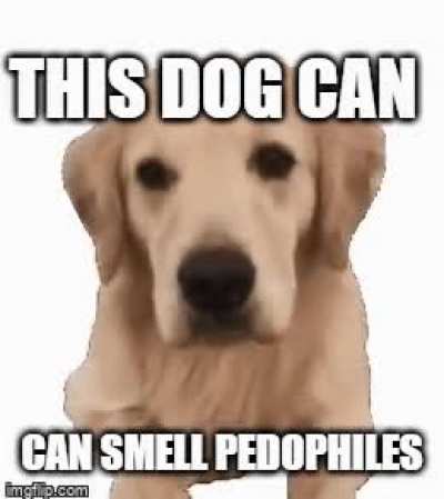 this dog can smell pedos