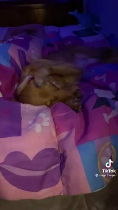 Morning routine