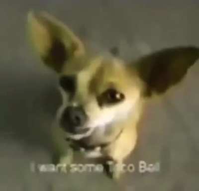 sure, lil fella