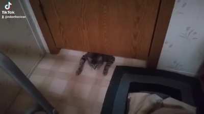 You ever head to bathroom to get a little alone time, then this happens??