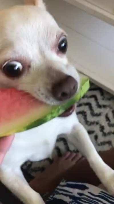 *Chomp*