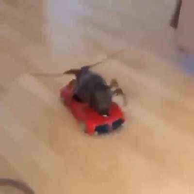 Slow ride