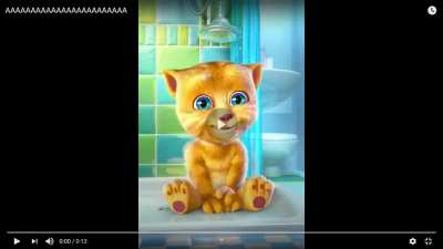 cat