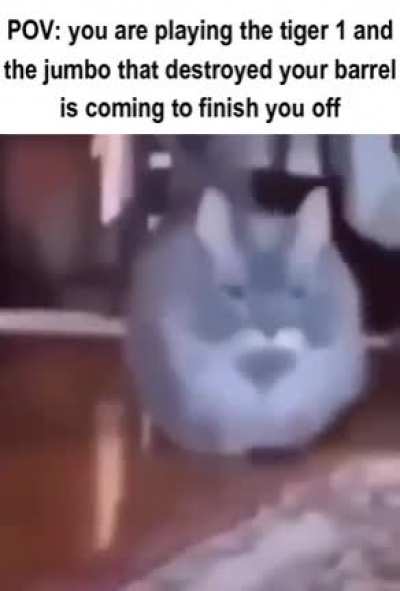 Welp