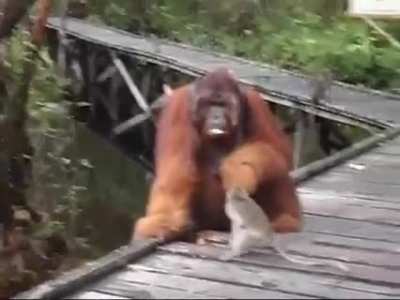 To steal a banana