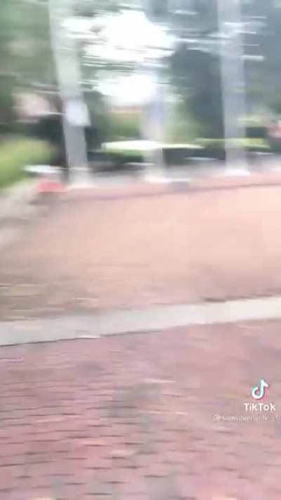 Man yells at skateboarder for grinding in the vicinity of his dog.