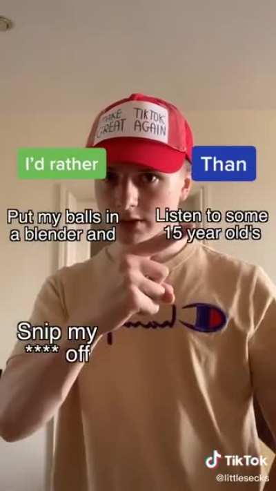 On tik tok being banned (cool song)