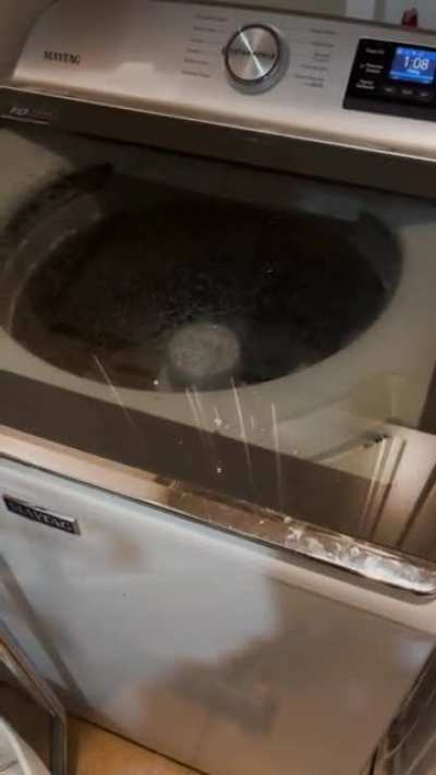 My folks 1 yr old $950 washing machine now screeches like a banshee on occasion