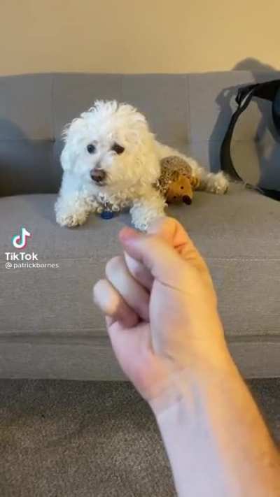 Wait for it&hellip;