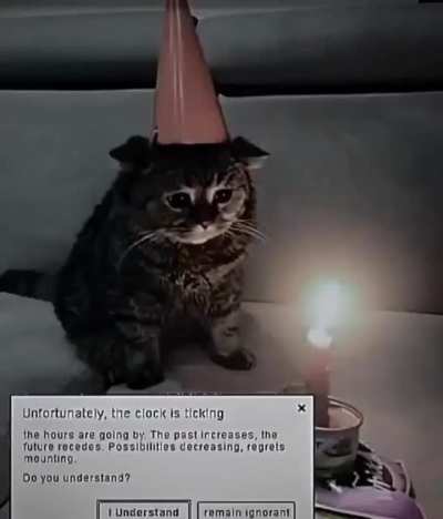 2meirl4meirl