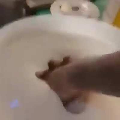 Test post, will delete in a little bit