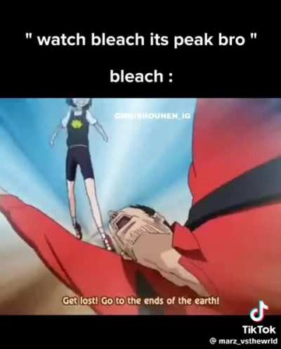 Bleach is peak.                                     The peak in question.