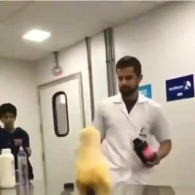 Maybe Maybe Maybe