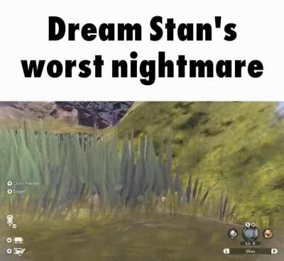 Grass? 😱😱😱