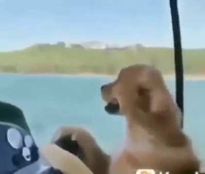 Lol
