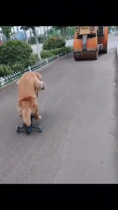 Поехали!