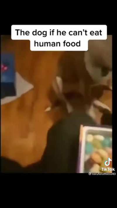 Dogs aren&rsquo;t supposed to eat jellybeans