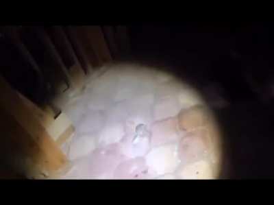 Clip from the youtube channel &ldquo;OffTheRanch&rdquo; in his &ldquo;Exploring the abandoned mansion&rdquo; video.