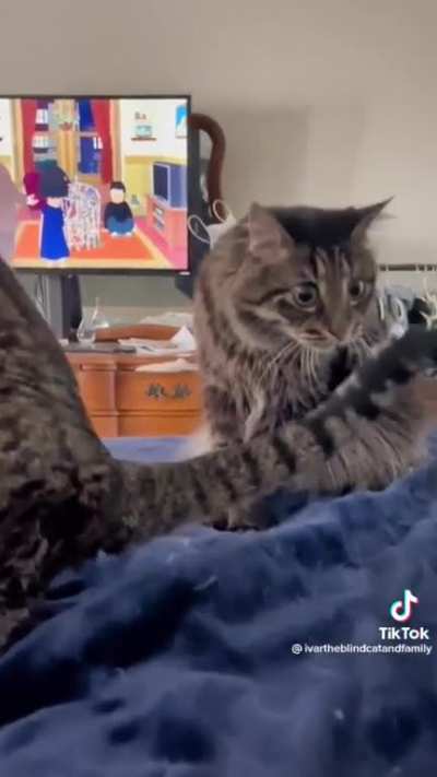 o.o