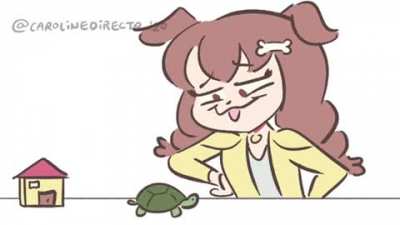 Small Turtle House
